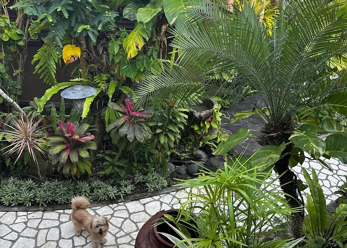 Unique Tropical High Class Oasis-cook Staff * أُلُواتو