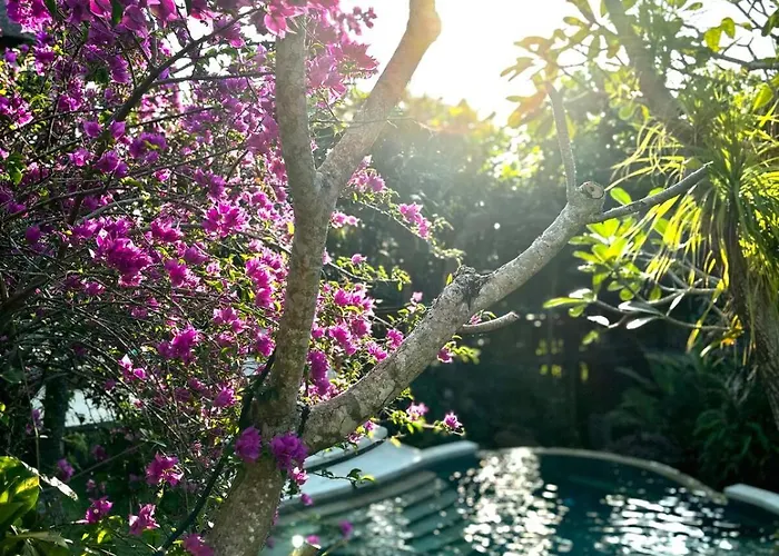 فيلة Unique Tropical High Class Oasis-cook Staff