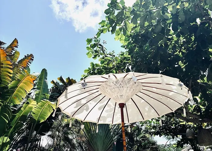 Unique Tropical High Class Oasis-cook Staff فيلة *