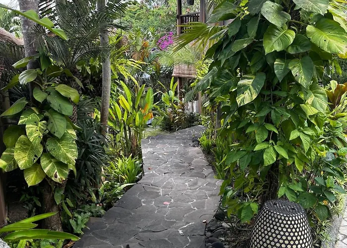 Unique Tropical High Class Oasis-cook Staff فيلة *